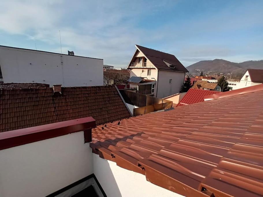 Old Town Studio 2 Apartment Nr 2 Baia Mare Exterior foto