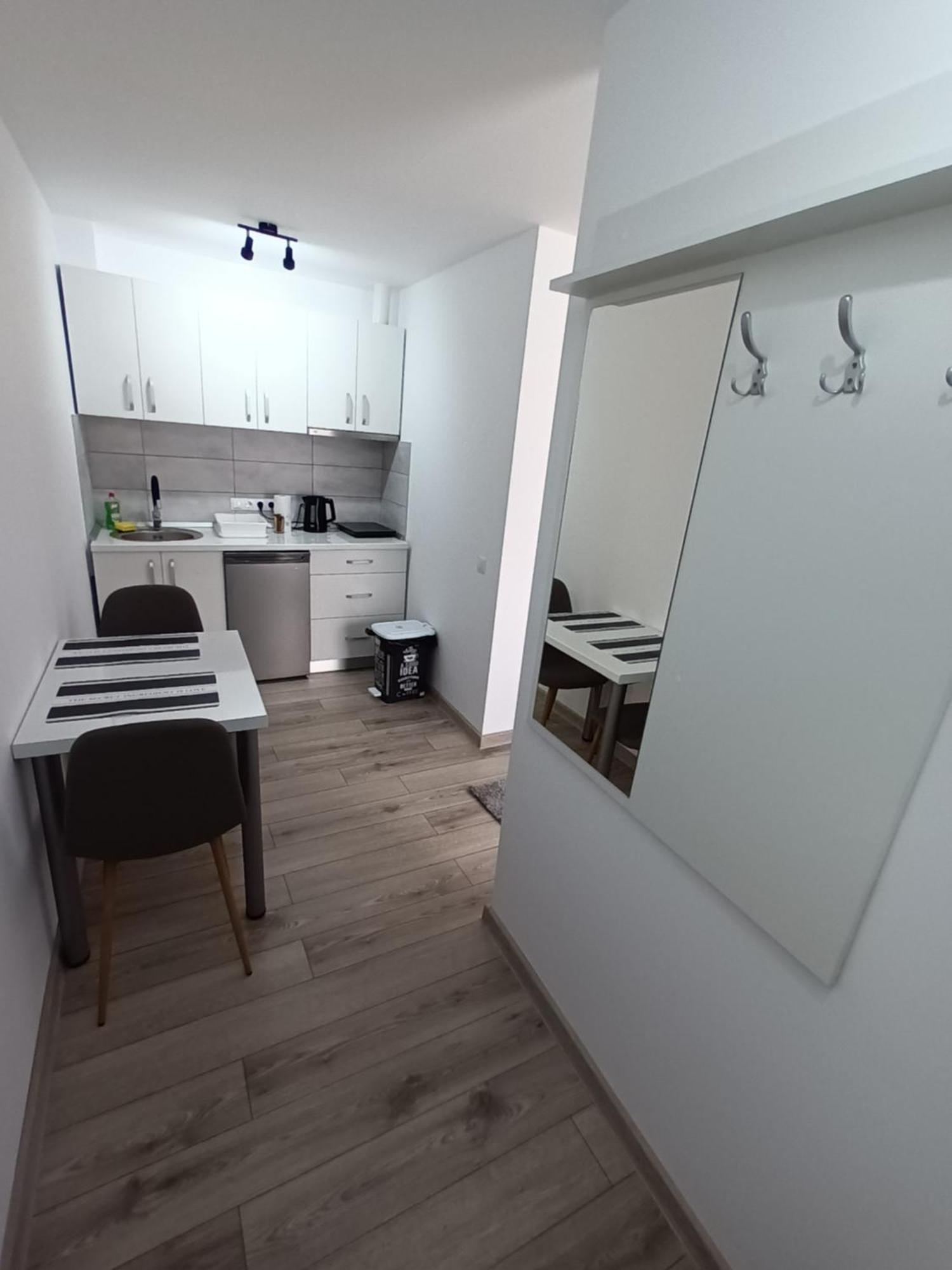 Old Town Studio 2 Apartment Nr 2 Baia Mare Exterior foto